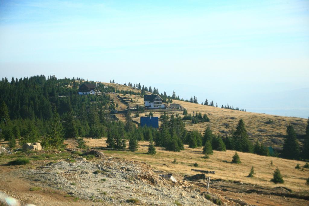 Pensiunea Muntele Alb Horezu Exterior foto