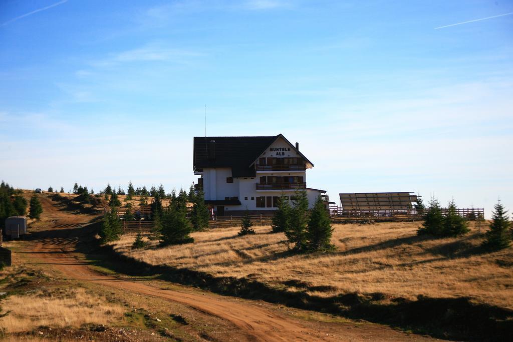 Pensiunea Muntele Alb Horezu Exterior foto